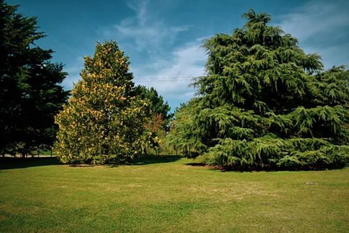 Village Park Tandil Zewnętrze zdjęcie